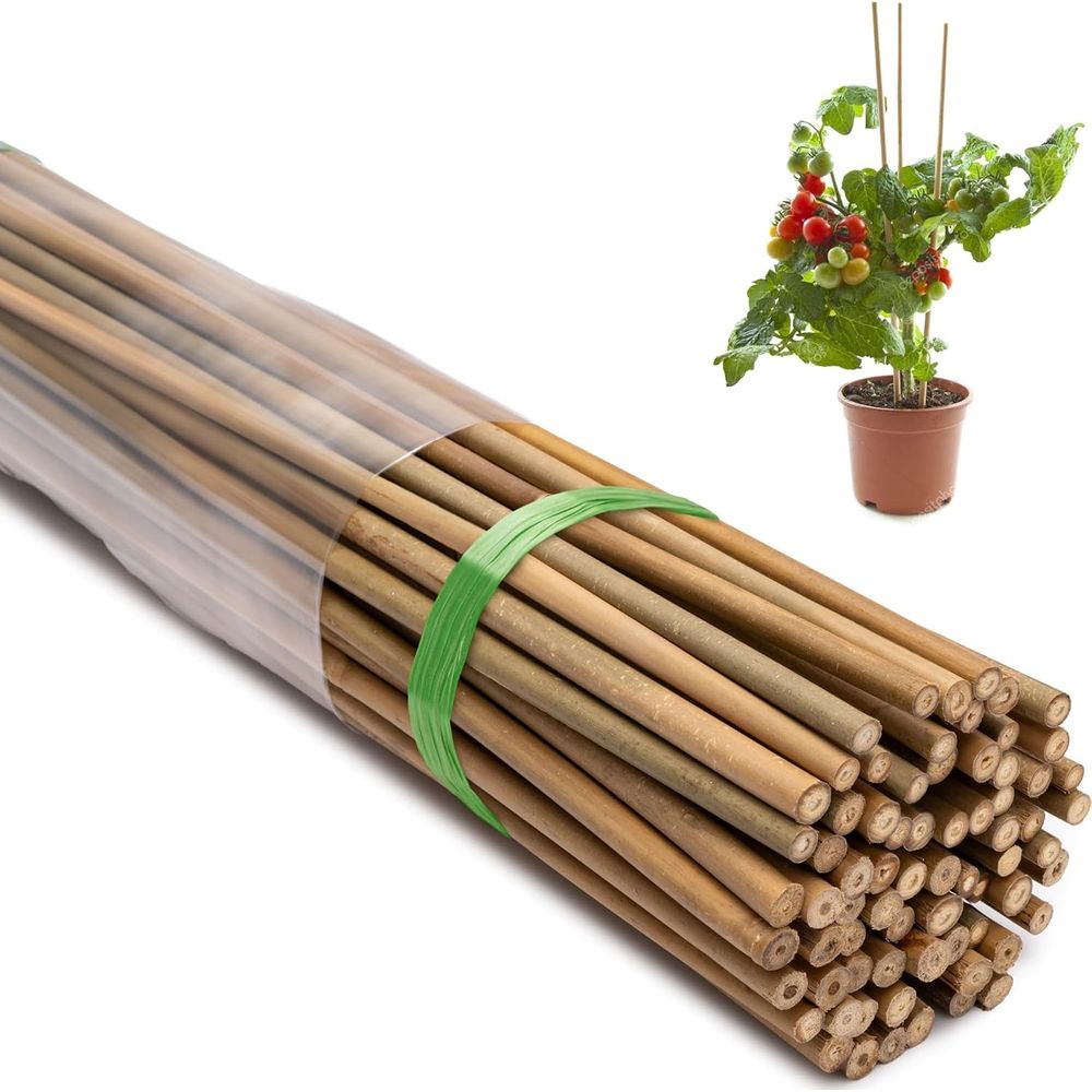 Plant Support Stake - Pacote com 70 Estacas de Bambu