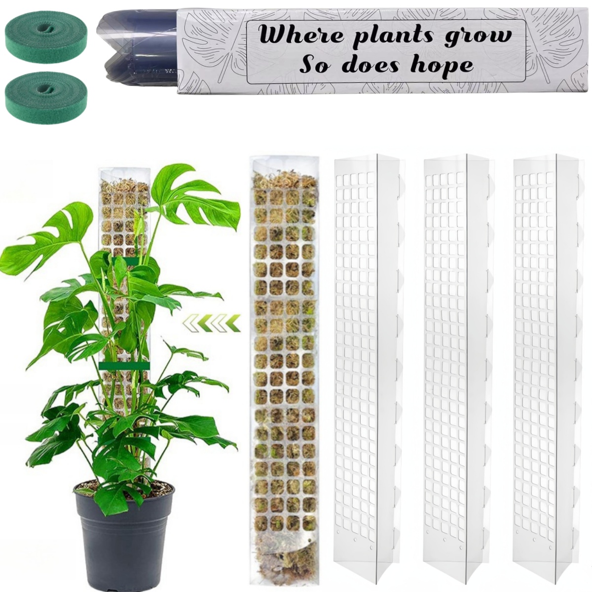 Plant Support Stake - Pólo de musgo plástico planta suporte