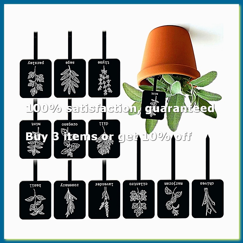 Gardening Tools Names - 24 Etiquetas de Acrílico para Plantas,