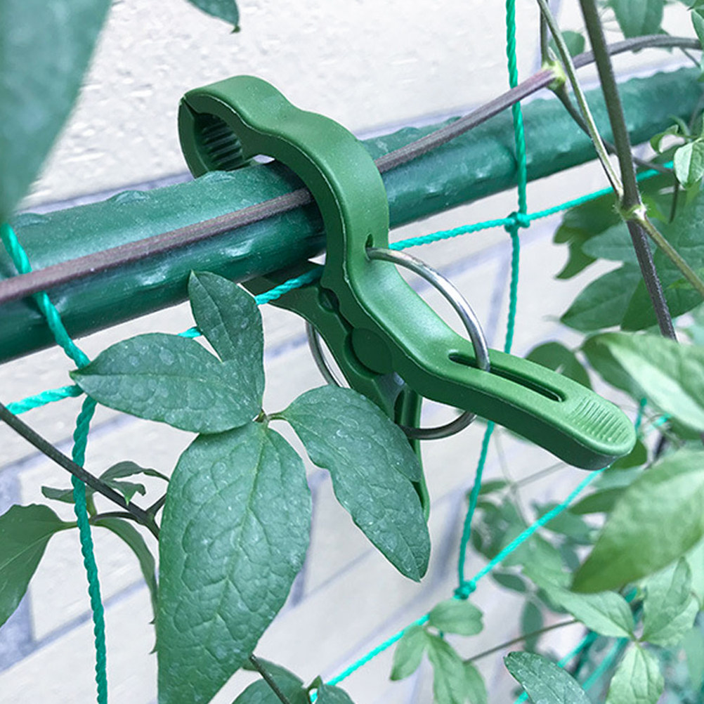 Plant Support Stake - 60 Peças de Clipes de Plástico