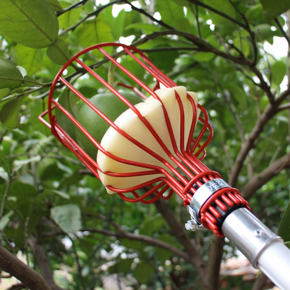 Gardening Tools Hand - Cabeça recolectora de frutas de metal/plástico,