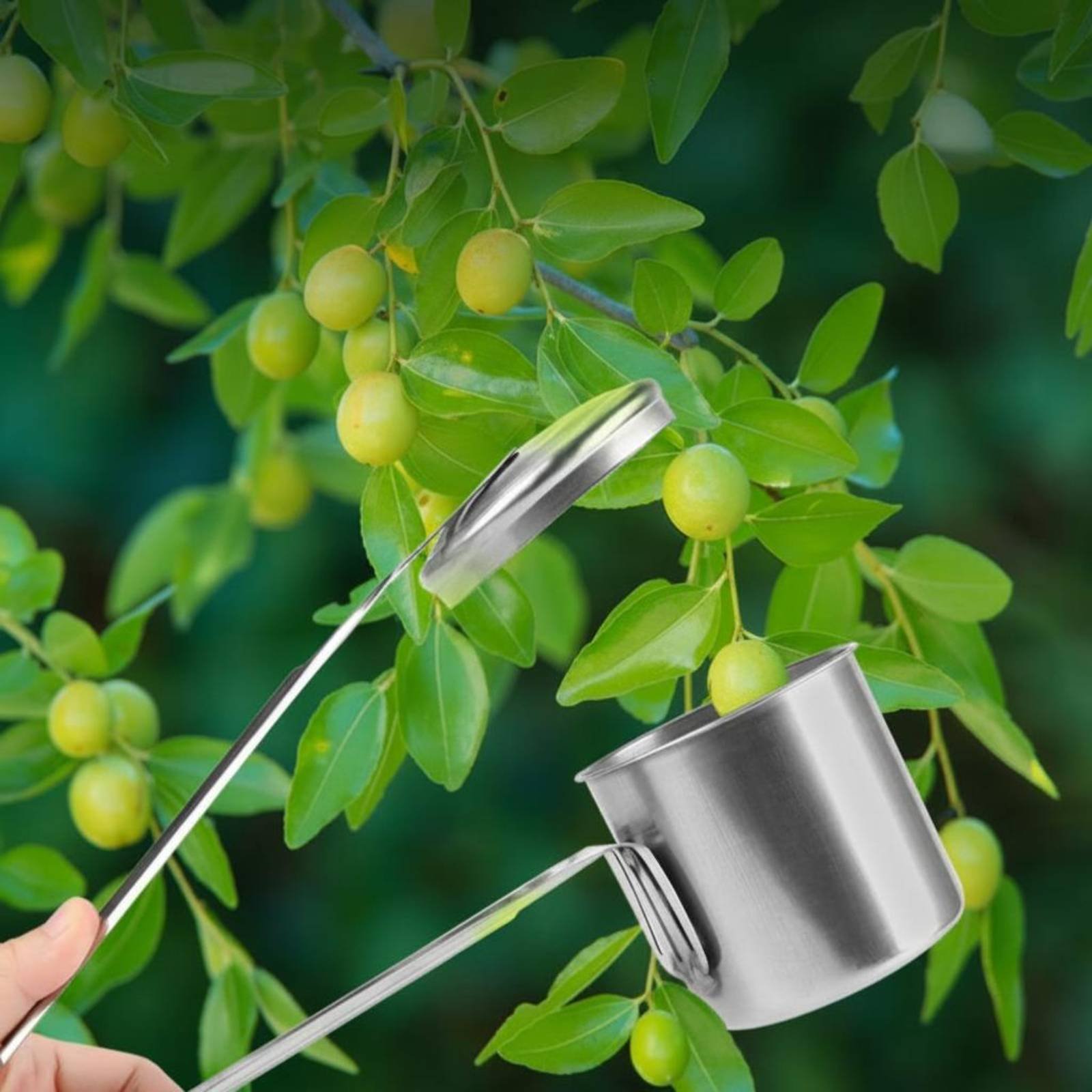 Gardening Tools And Uses - Cortador de Frutas em Aço Inoxidável