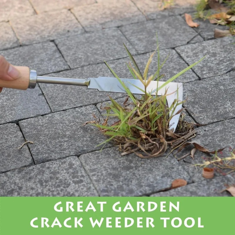 Ferramenta de Jardinagem em Aç - Gardening Tools Used For Weeding avaliação e preço