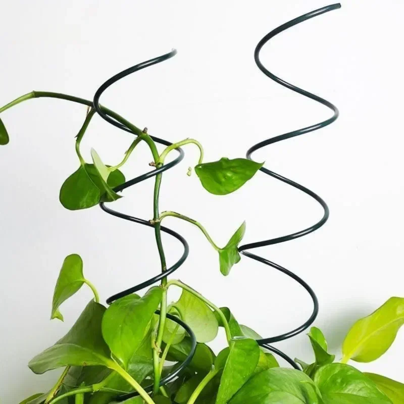 Estaca de Suporte para Plantas - Plant Support Stake avaliação e preço