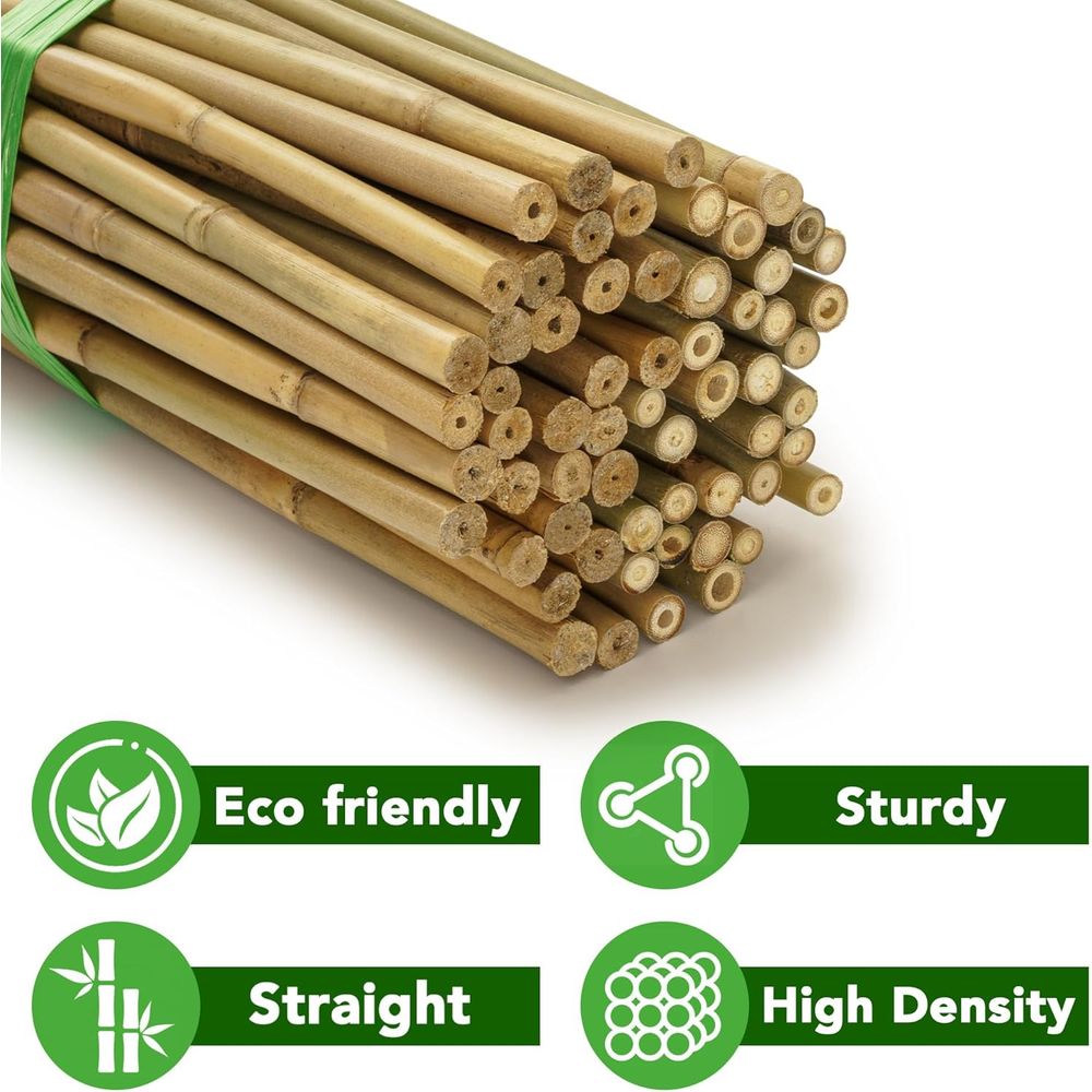 Pacote com 70 Estacas de Bambu - Plant Support Stake avaliação e preço