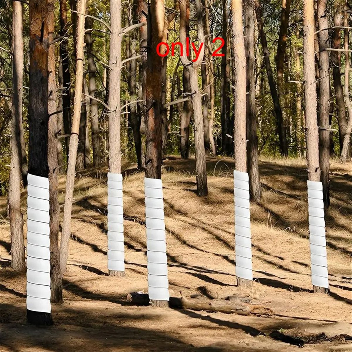 Protetor de Tronco de Árvore A - Gardening Tools B&Q avaliação e preço