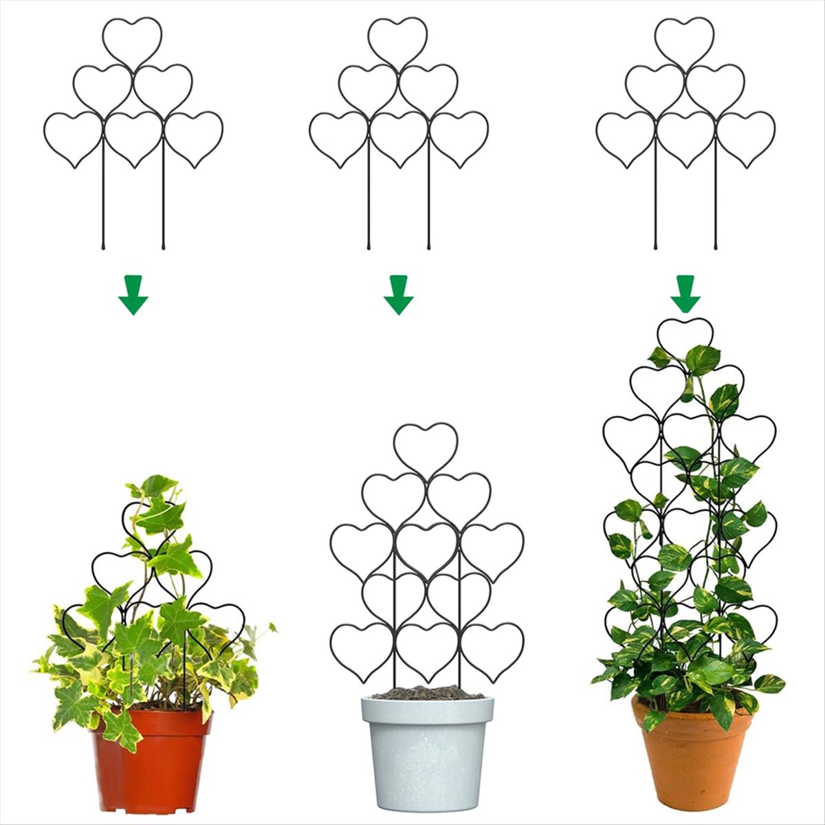 Treliça de plantas internas a2 - Gardening Tools Hand avaliação e preço