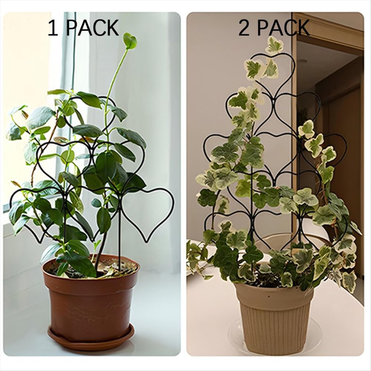 Treliça de plantas internas a2 - Gardening Tools Hand avaliação e preço