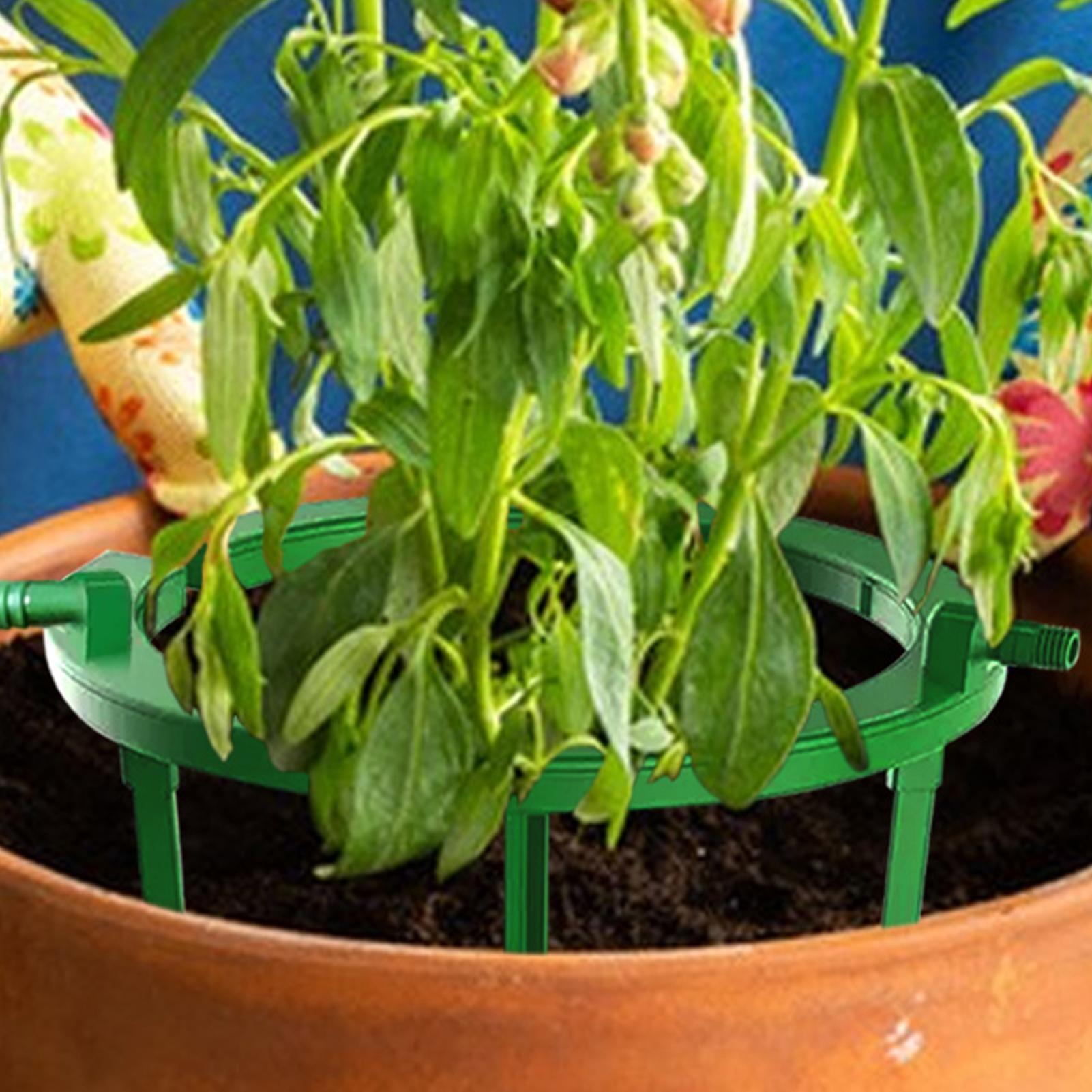 Anel de irrigação para plantas - Gardening Tools Target avaliação e preço