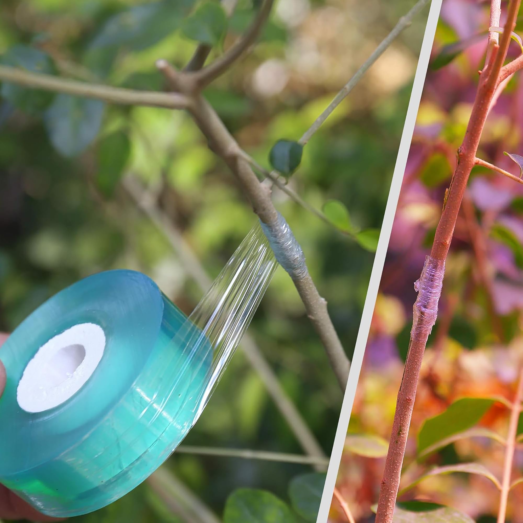 Fita de Enxertia Biodegradável - Gardening Tools And Uses avaliação e preço