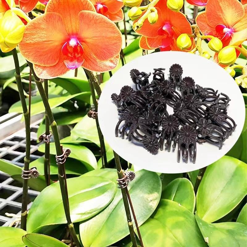 Clipes de Suporte para Plantas - Gardening Tools Wholesale avaliação e preço