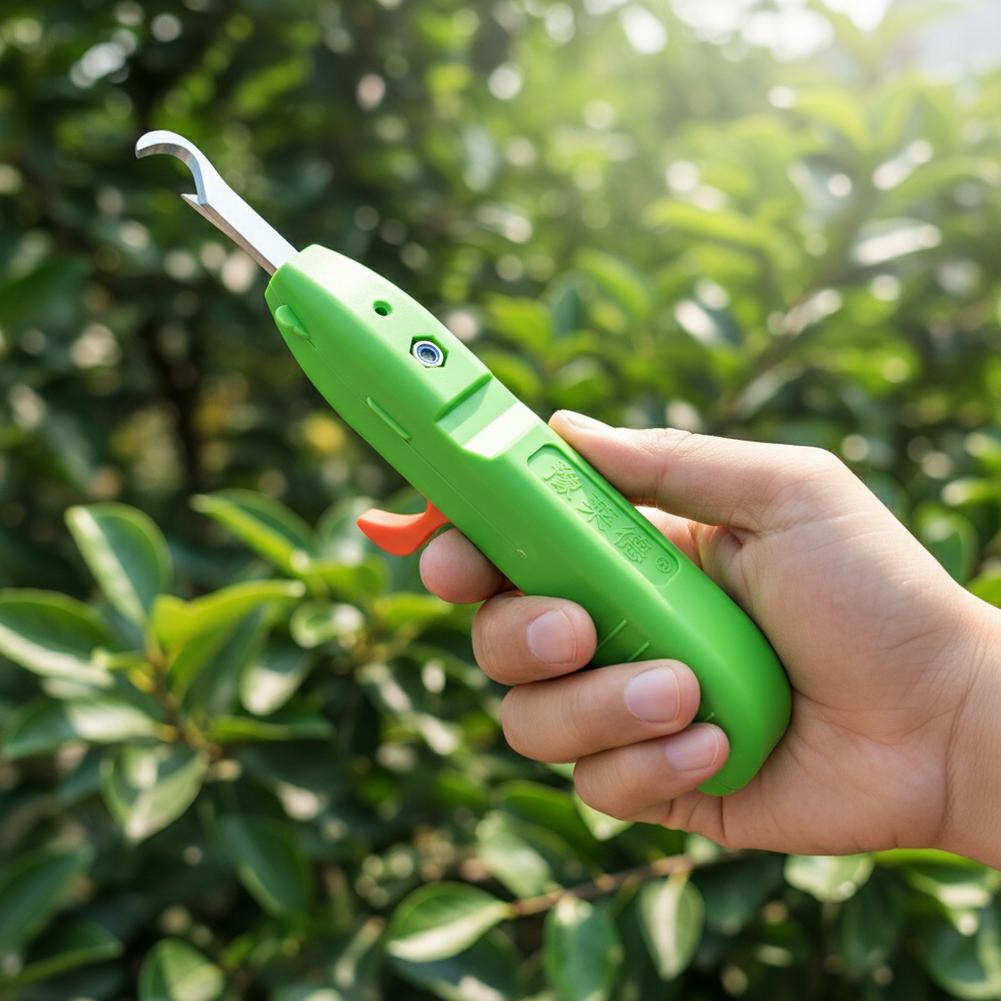 Tesoura de Colheita de Frutas  - Gardening Tools Wholesale avaliação e preço
