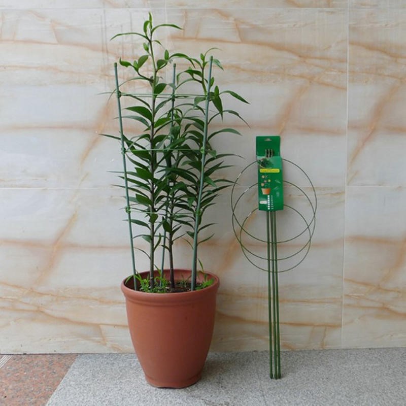 1/3/9 Peças/conjunto Suporte p - Plant Support Stake avaliação e preço