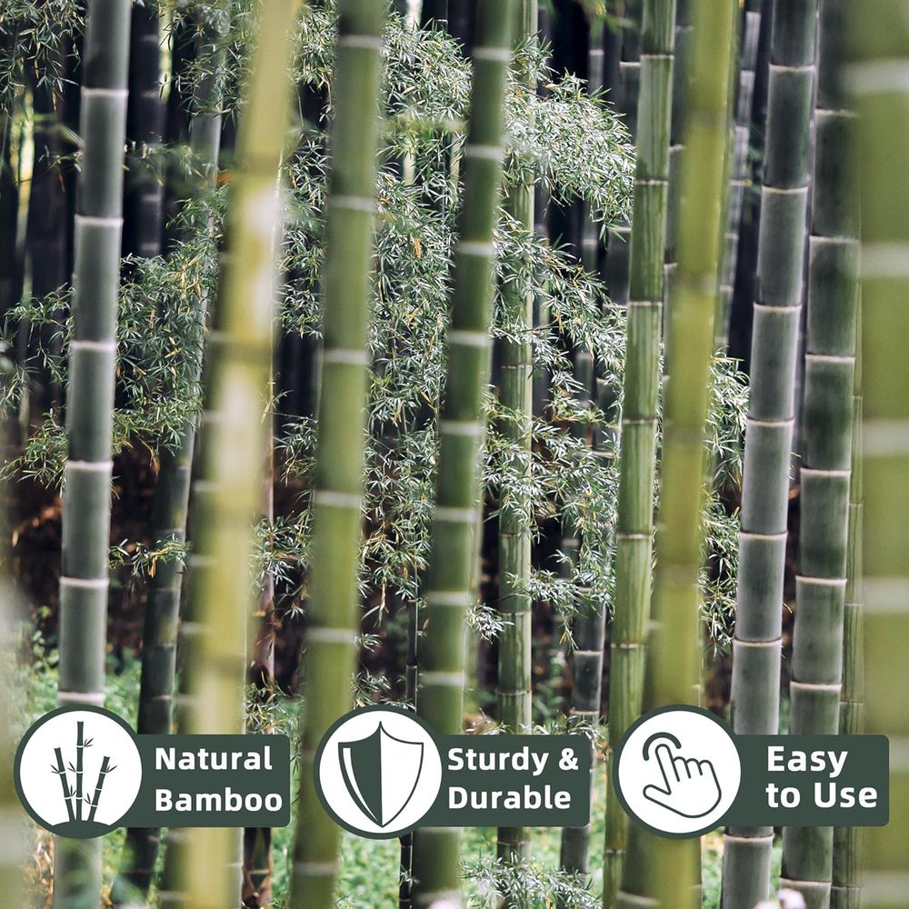 Pacote com 50 Estacas de Bambu - Plant Support Stake avaliação e preço