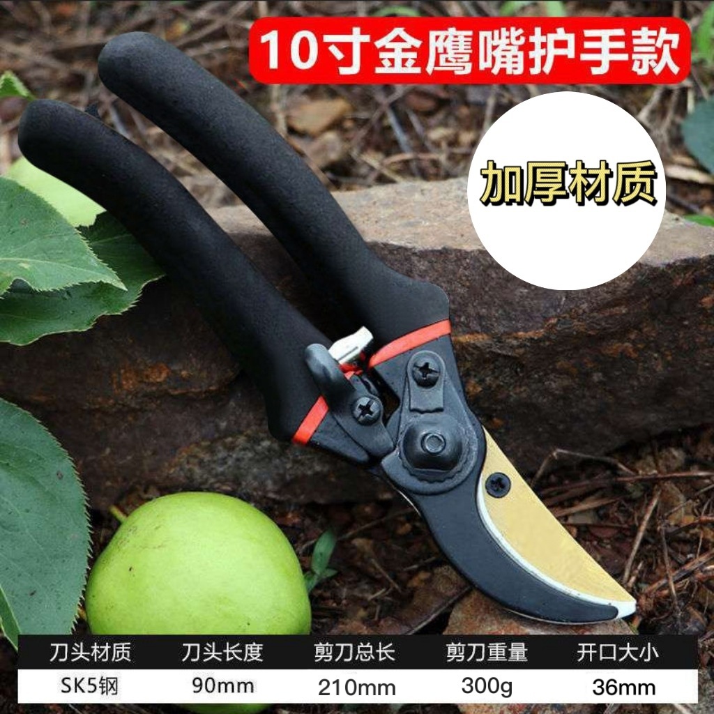 Tesoura de Poda Japonesa em Aç - Gardening Tools In Japan avaliação e preço