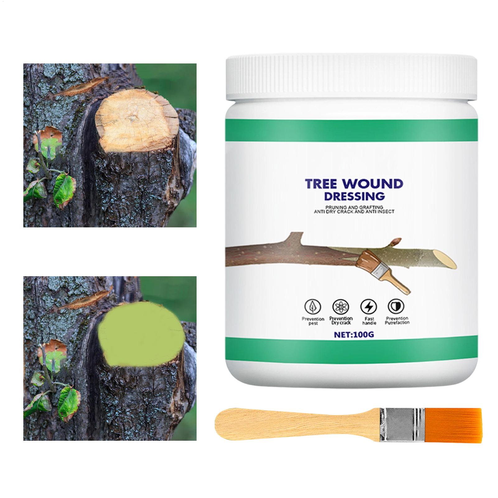 Pasta para Enxertia de Árvores - Gardening Tools Wholesale avaliação e preço