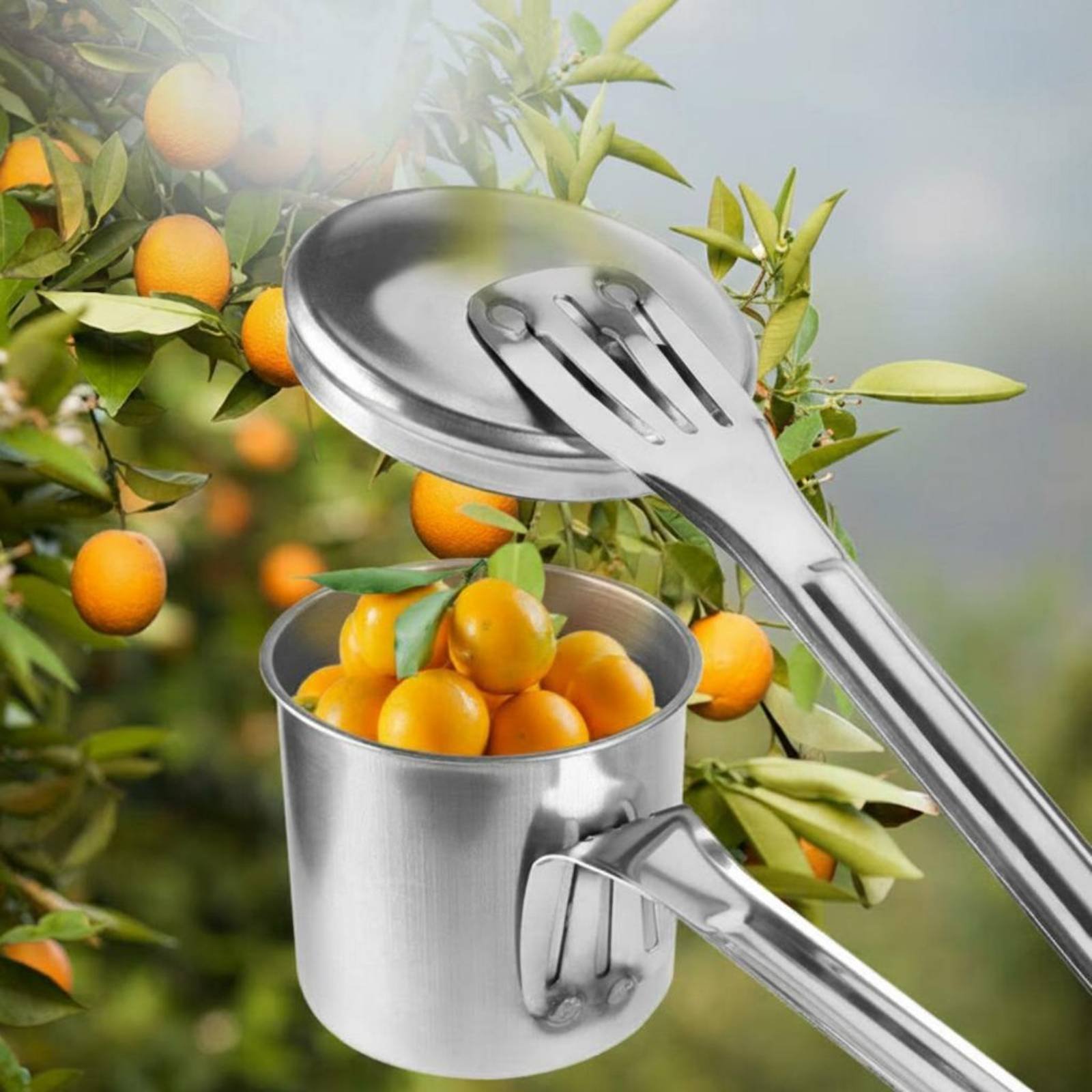 Cortador de Frutas em Aço Inox - Gardening Tools And Uses avaliação e preço