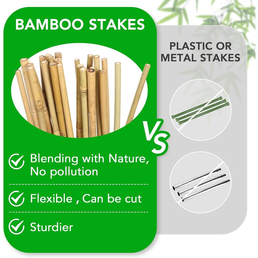 Conjunto de 55 Estacas de Bamb - Plant Support Stake avaliação e preço
