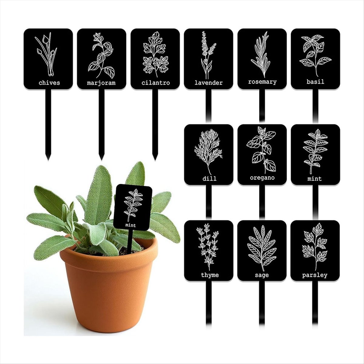 AA14 24 Peças Etiquetas de Acr - Gardening Tools Names avaliação e preço