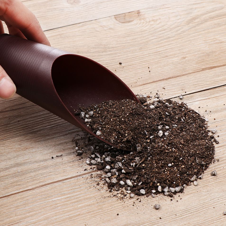 1pc plástico solo pá copo para - Gardening Tools Hand avaliação e preço
